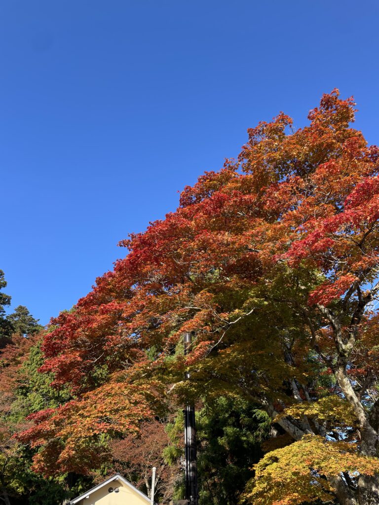 【撮影日記】観光PV用動画撮影